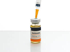 best steroids United kingdom​