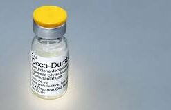 Decanandrolen 300mg/ml 25 ml D&H Denkall Anabolics Sales in United kingdom